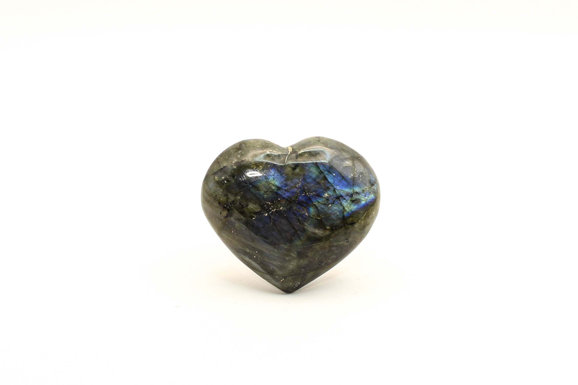 Labradoriidist süda